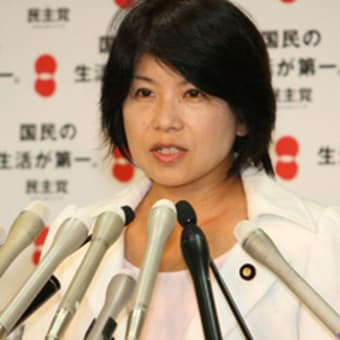 画像一覧 政治の季節 稗史 はいし 倭人伝 画像一覧 政治の季節 稗史 はいし 倭人伝