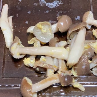 不安定な頂き物