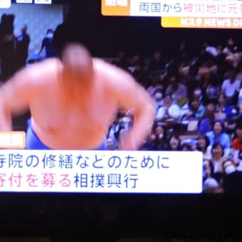  4/17 勧進相撲というのがあるそうで、石川県だと思うやった。