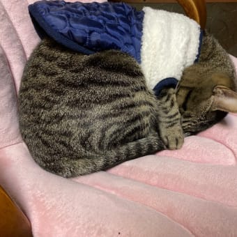 そらちゃんが---2度目です--😅