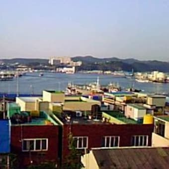 10月９日～１３日まで釜山、浦頂の九龍浦、大邱、慶州市甘浦を訪ねました( 九龍浦）