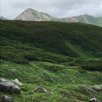 北アルプスも夏山になります