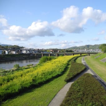 散歩道1…散歩をはじめました