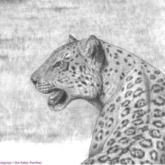 Panthera gombaszoegensis　"パレオ・タイガー"　生体復元画　（次作プレヒストリック・サファリ全景の一部）