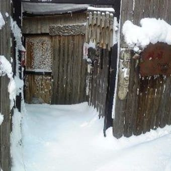 札幌市白石区今日の雪掻き　冬休みか？