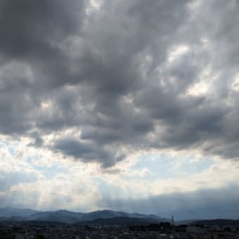 昨日の夕方見えた風景
