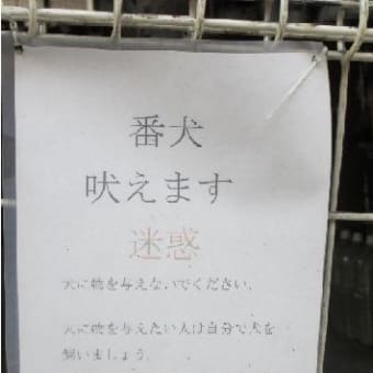 愛媛県松山市の某観光地では犬ちゃんたちを狭い檻で閉じ込めて飼育！！☆らん丸日記より☆