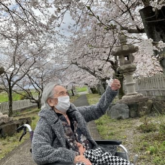 桜のお花見ツアー　-前編-