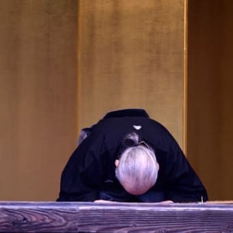 一年ぶりに復帰できました。