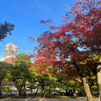 秋の京都探訪。京都大学学園祭、最新note情報。