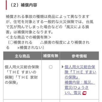 自然災害に何でも政府が保証するのは変なことでは？