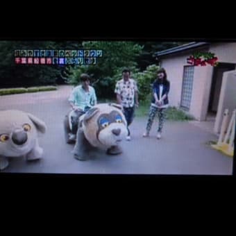 宿命の対決とブシャー