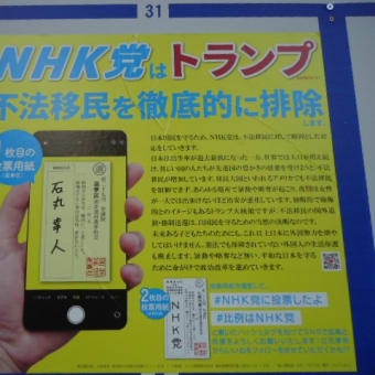 参議院選挙、令和７年、東京都、泡沫候補