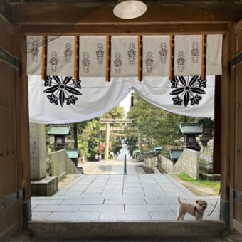生駒聖天　宝山寺