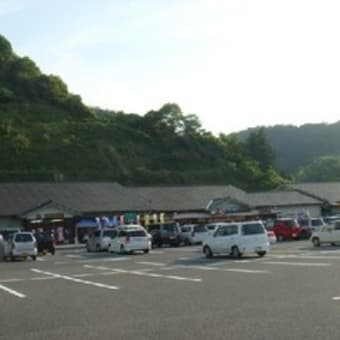 初・こけた