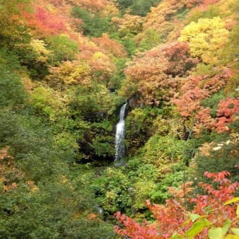 平山　（5山目）