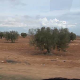 チュニジア旅行（９）：車窓風景　再掲