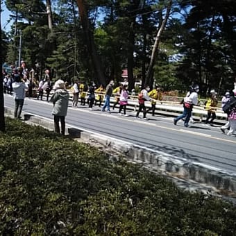 ドライブ