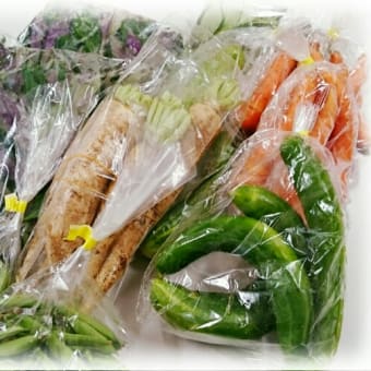 8月3日(水)第25回みなと子ども食堂