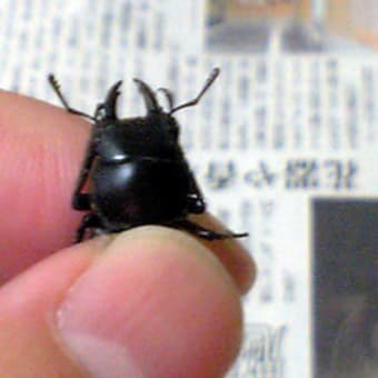 新しいポイント探し パート３