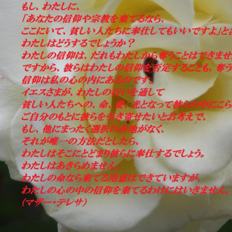 聖なる愛