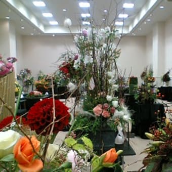 セファ大花展・イオンモール浜松志都呂で開催されました。