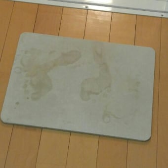 ☆今日、買った物☆7