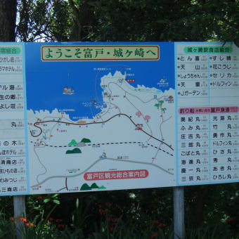 2016年7月22日　金曜日　城ケ崎海岸