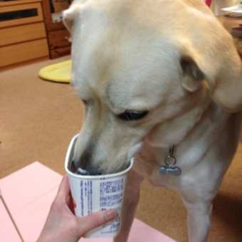 独り占め！