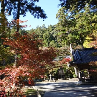 紅葉と見晴らしを求めて森町方面へ