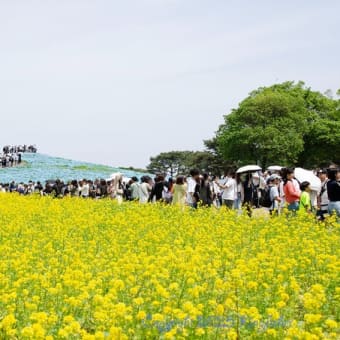 5月5日出かけることに