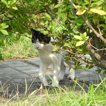 くぎり