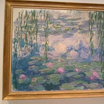 娘が昨日京都市美術館『モネ 睡蓮のとき』展見てよかったと画像送ってくれた。