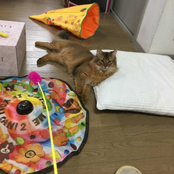 12月31日　冬休み