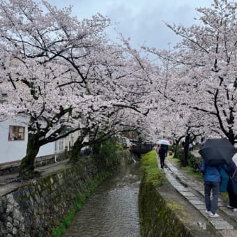 哲学の道〜銀閣寺〜南禅寺　20230326