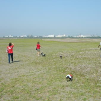 葛西臨海公園で