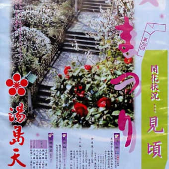 やっと春が来た