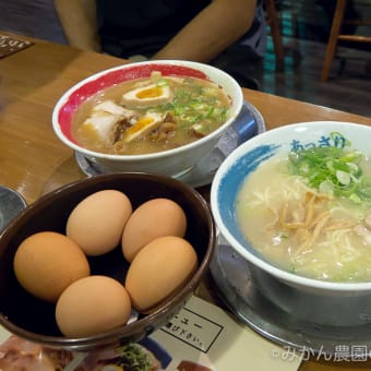 徳島県徳島市・ラーメン東大 沖浜店