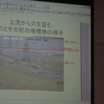 辰巳ダムをめぐる裁判