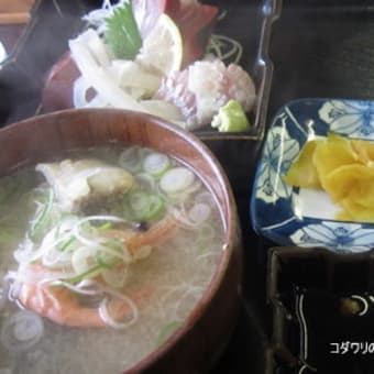 うまさ一番！富山のさかなキトキトバスツアー⑨朝ごはんは氷見魚市場食堂 『海寶 』で