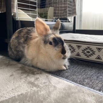 久しぶりです