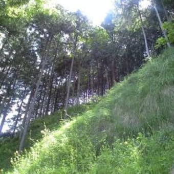 普通がしあわせ