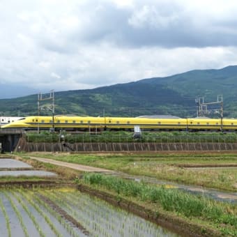 静岡県 in ドクターイエロー　１