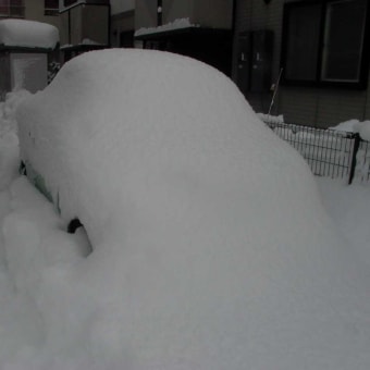 大雪だぁ