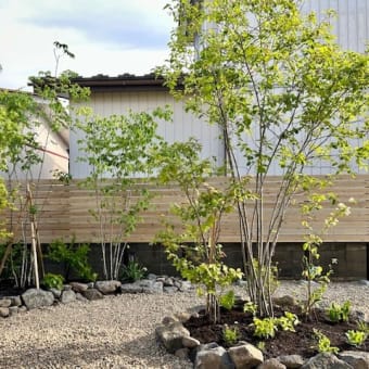 石巻の家、外観と外構・造園工事