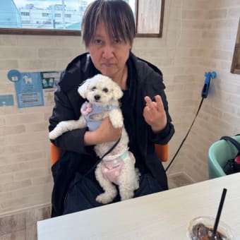 ランちゃんとドックカフェに行って来ました　k-hashii-japan　2024年12月14日