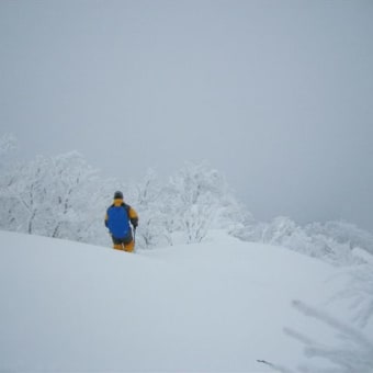 真冬の大山を歩く　2010年1月15日