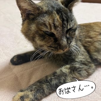 オムツ写しちゃ嫌よ！