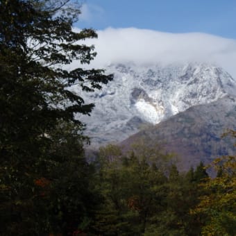 一茶英訳ー(6) 寒くなる秋を