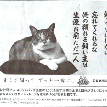 なんともへんな宣伝「日本動物愛護会」・・猫は日光浴も必要だ